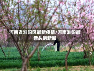 河南省淮阳区最新疫情/河南淮阳最新头条新闻