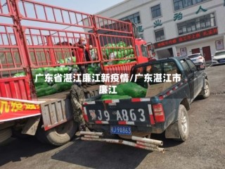 广东省湛江廉江新疫情/广东湛江市廉江