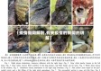【疫情新闻解剖,有关疫情的新闻的讲解】