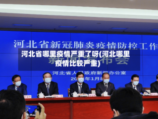 河北省哪里疫情严重了呀(河北哪里疫情比较严重)