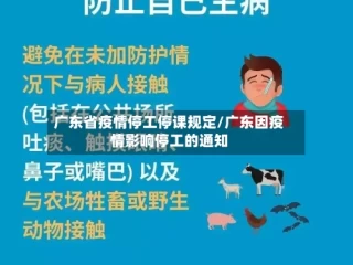 广东省疫情停工停课规定/广东因疫情影响停工的通知