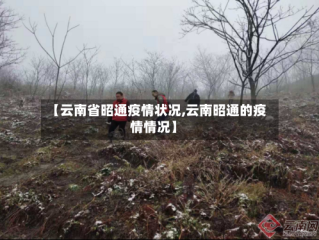【云南省昭通疫情状况,云南昭通的疫情情况】