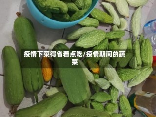 疫情下菜得省着点吃/疫情期间的蔬菜