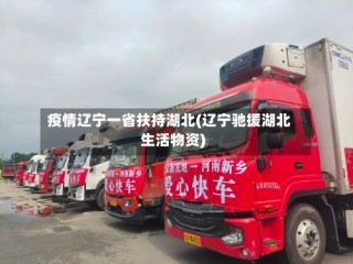 疫情辽宁一省扶持湖北(辽宁驰援湖北生活物资)