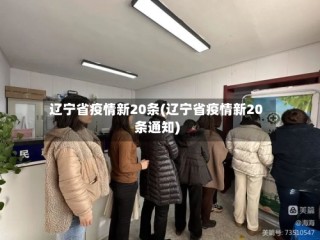 辽宁省疫情新20条(辽宁省疫情新20条通知)
