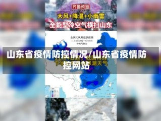 山东省疫情防控情况/山东省疫情防控网站