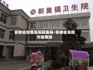 安徽省疫情阜阳新集镇/安徽省阜阳市新集镇