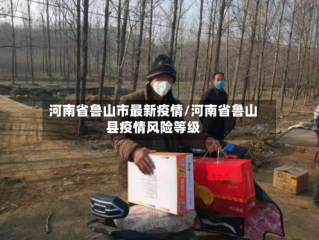 河南省鲁山市最新疫情/河南省鲁山县疫情风险等级
