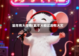 鼠年有大疫情(鼠年大疫过后有大灾)
