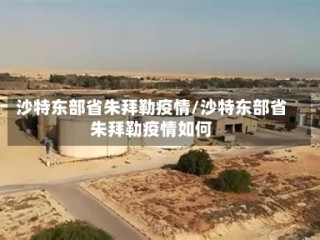 沙特东部省朱拜勒疫情/沙特东部省朱拜勒疫情如何