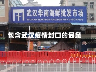 包含武汉疫情封口的词条