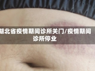 湖北省疫情期间诊所关门/疫情期间诊所停业