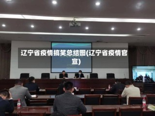 辽宁省疫情搞笑总结图(辽宁省疫情官宣)