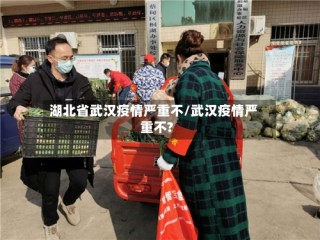 湖北省武汉疫情严重不/武汉疫情严重不?