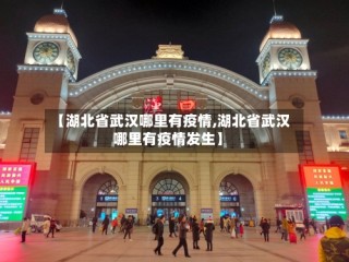 【湖北省武汉哪里有疫情,湖北省武汉哪里有疫情发生】