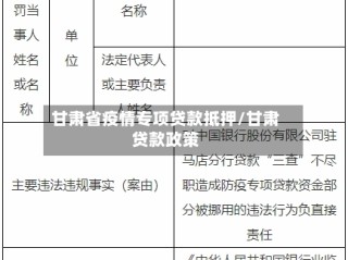 甘肃省疫情专项贷款抵押/甘肃贷款政策