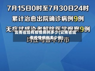 云南省现有疫情病例多少(云南省现有疫情病例多少例)