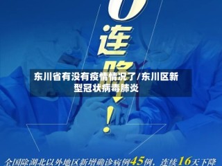 东川省有没有疫情情况了/东川区新型冠状病毒肺炎