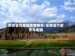 安徽省乌龙镇疫情情况/安徽省六安市乌龙镇