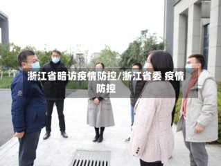 浙江省暗访疫情防控/浙江省委 疫情防控