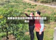 海南省农信社针对疫情/海南农信宣传片