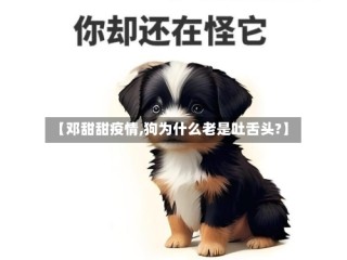 【邓甜甜疫情,狗为什么老是吐舌头?】
