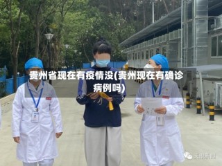 贵州省现在有疫情没(贵州现在有确诊病例吗)