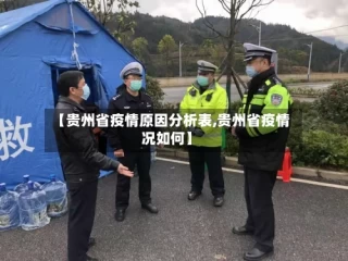 【贵州省疫情原因分析表,贵州省疫情况如何】