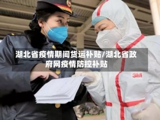 湖北省疫情期间货运补贴/湖北省政府网疫情防控补贴