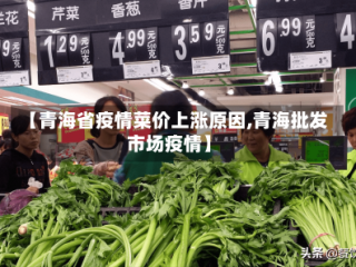 【青海省疫情菜价上涨原因,青海批发市场疫情】