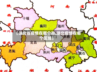 【湖北省疫情在哪个市,湖北疫情在哪个区域】