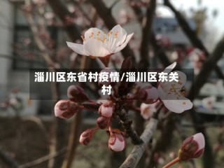 淄川区东省村疫情/淄川区东关村