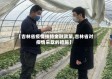 【吉林省疫情扶持金融政策,吉林省对疫情采取的措施】