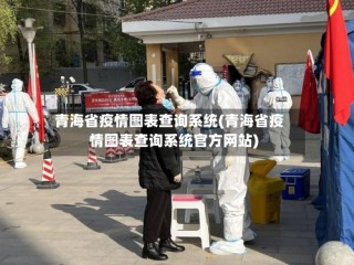 青海省疫情图表查询系统(青海省疫情图表查询系统官方网站)
