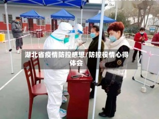 湖北省疫情防控感想/防控役情心得体会