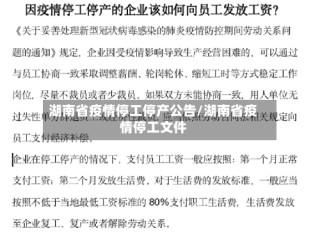 湖南省疫情停工停产公告/湖南省疫情停工文件