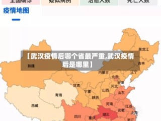 【武汉疫情后哪个省最严重,武汉疫情后是哪里】