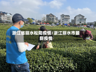 浙江省丽水松阳疫情/浙江丽水市最新疫情