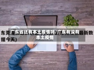 广东省还有本土疫情吗/广东有没有本土疫情