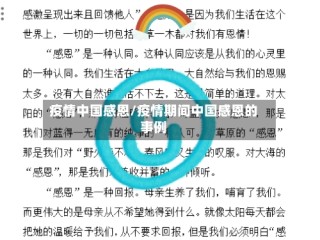 疫情中国感恩/疫情期间中国感恩的事例