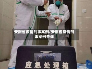 安徽省疫情刑事案例/安徽省疫情刑事案例查询