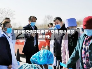 湖北省疫情领导责任/疫情 湖北省领导责任