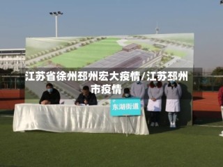 江苏省徐州邳州宏大疫情/江苏邳州市疫情