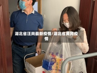 湖北省汪岗最新疫情/湖北省黄冈疫情
