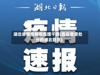 湖北省疫情期间处理干部(因疫情受处分的湖北官员)
