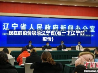 现在的疫情视频辽宁省(看一下辽宁的疫情)
