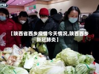 【陕西省西乡疫情今天情况,陕西西乡新冠肺炎】