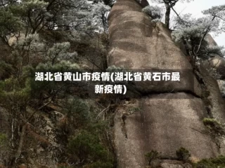 湖北省黄山市疫情(湖北省黄石市最新疫情)