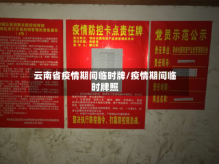 云南省疫情期间临时牌/疫情期间临时牌照