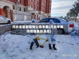 河北省最新疫情公告辛集(河北辛集市疫情最新消息)